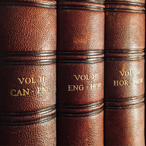 Close-up view of three spines of brown leather bound books from encyclopedic texts