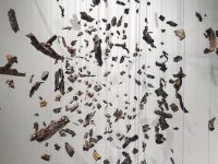 Fragments of bark and debris hung with string at varying heights against a white wall. Photo by Adam Jones.
